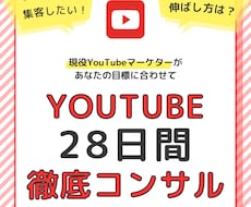 あなたのYouTube運用を28日間コンサルします イメージ1