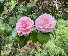 現役訪問看護師が終末期患者家族様をサポートします イメージ1