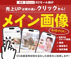 ECモール向けメイン画像(第一画像)を作成します イメージ1