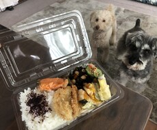 管理栄養士が栄養相談、献立相談、出来る限り答えます イメージ1
