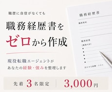 職務経歴書をゼロから作成します イメージ1