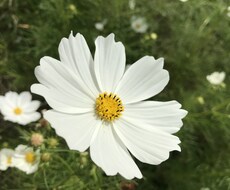 お話聞きます イメージ1