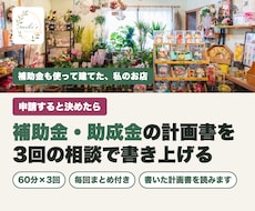 補助金・助成金の計画書づくりを3回でサポートします 申請すると決めたら。花屋28年の店主と全3回で計画を整理