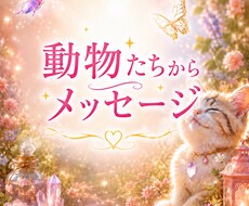 心が疲れたとき＊動物からメッセージお伝えします そばにいる動物からあなたへ★寂しさ・悲しさ・モヤモヤ・悩み