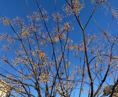 吐き出したい想いを聴きます イメージ1
