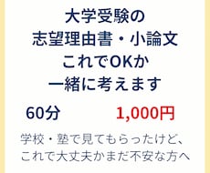 志望理由書・小論文、これでOKか一緒に考えます イメージ1