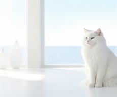 しっかりお話をうかがいます イメージ1