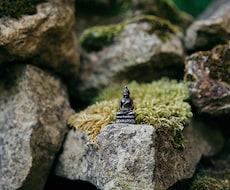 人生のこと、恋のことも、色々相談にのります イメージ1