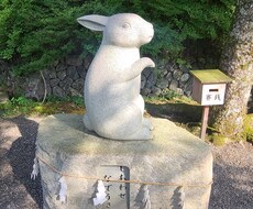 リーディングします イメージ1