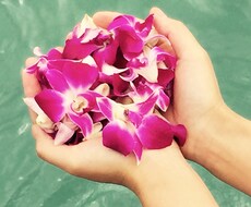 霊感タロットで鑑定いたします 気になることは、何でもご相談ください。
