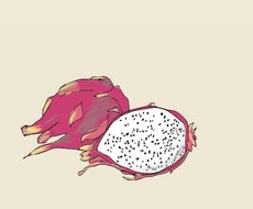 食べ物イラスト描きます イメージ1