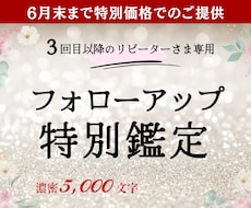3回目以降リピーター様用｜フォローアップ鑑定します イメージ1