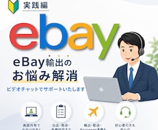 eBay輸出[実践編]スポットコンサル致します 不安解消！現役セラーが画面共有でサポートいたします！