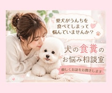 愛犬の食糞、一緒に原因考えます 愛犬の食糞のお悩み、優しくお聞きします