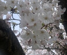 愚痴聞き自分に自信がない方褒めてあなたを応援します イメージ1