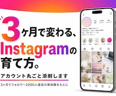 あなたのInstagramを添削して伸ばします イメージ1