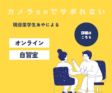 現役薬学生、あやがあなたの自習をサポートします イメージ1