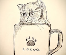 猫ちゃんのイラスト描きます 写真があればどんな猫ちゃんも描きます✏️