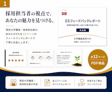 現役採用担当がＥＳ(エントリーシート)を診断します イメージ1