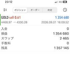 あなたのFXトレード手法パフォーマンスを改善します 複数の通貨ペアを負担なく同時運用も可能に