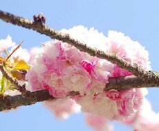 食べることの幸せについて一緒に考えます イメージ1