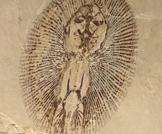 経験させて下さい！作詞をしたいと思っています イメージ1