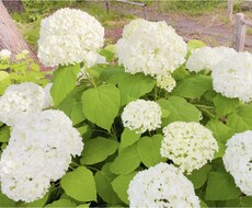 携帯電話の使用方法をお伝えします イメージ1