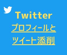 Twitterのプロフとツイートの添削をします プロフィールと、ツイートの反応を良くするための添削をします！