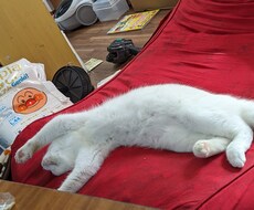 介護経験20年です!!介護全般の悩み解決します イメージ1
