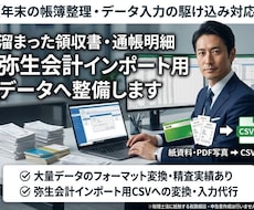 弥生会計データの入力・CSV変換を代行します イメージ1