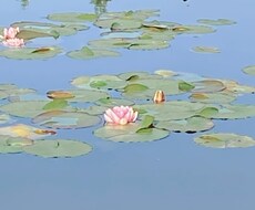 公認心理師による悩みごと、何でも相談に乗ります イメージ1