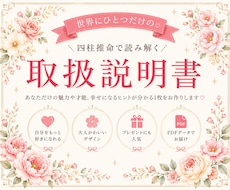 四柱推命でみたあなたの魅力で取扱説明書を作成します イメージ1