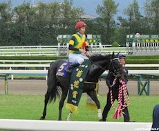 土曜日の中央競馬メインレースの予想をします