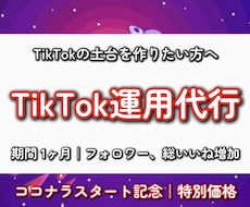 TikTok運用代行｜アカウントを伸ばします 1ヶ月で完全なTikTokの土台を作ります