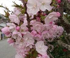 楽しい時間のお相手をさせていただきます 暇つぶし 聞いてほしい話 寂しい時間のお相手致します