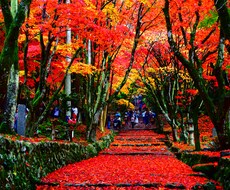 旅行の計画考えます イメージ1
