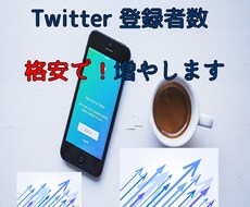 Twitterフォロワーを格安で100人増やします Twitterフォロワー数を+100人増えるまで拡散します