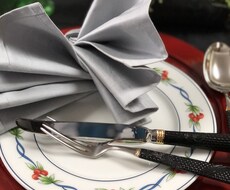 主婦の副業として貴女の得意をオンラインで教えます