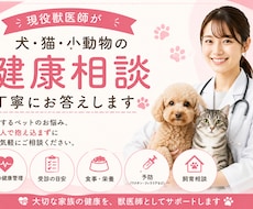 現役獣医師が犬・猫の健康相談に丁寧にお答えします 愛するペットのお悩み、抱え込まずお気軽にご相談ください。