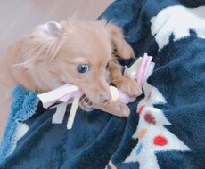 仕事の悩みなどを聞きます イメージ1