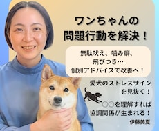 テキスト相談|愛犬の噛み癖など問題行動を解決します 元ペットショップ店員個別アドバイス！愛犬との暮らしを快適に⁠