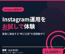 Instagramをお試し運用します イメージ1