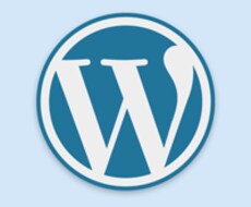 WordPressに関する相談お受けします カスタマイズや移行などに関するあなたのお悩みにお応えします