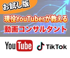 総フォロワー58万人YouTuberコンサルします YouTbe/TikTok運営者がお手伝いします