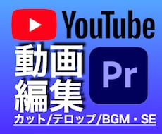 YouTube動画やその他動画の編集いたします イメージ1
