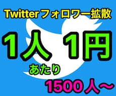 激安⭐️Twitterのフォロワー宣伝します
