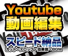 Youtube動画編集（カット字幕BGM）します イメージ1