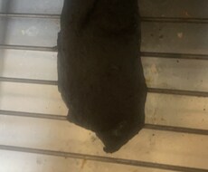 モテ方おしえます イメージ1