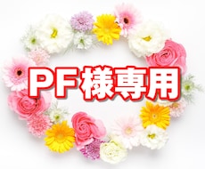 PF様専用出品でございます 【申し訳ございませんが他の方は購入不可です】