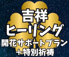 特別祈祷＋30日間の吉祥ヒーリングを行います イメージ1